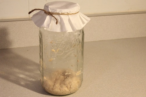 Make Yeast in Jar