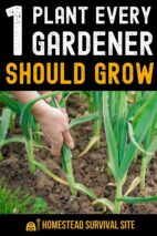 1 Plant Every Gardener Should Grow
