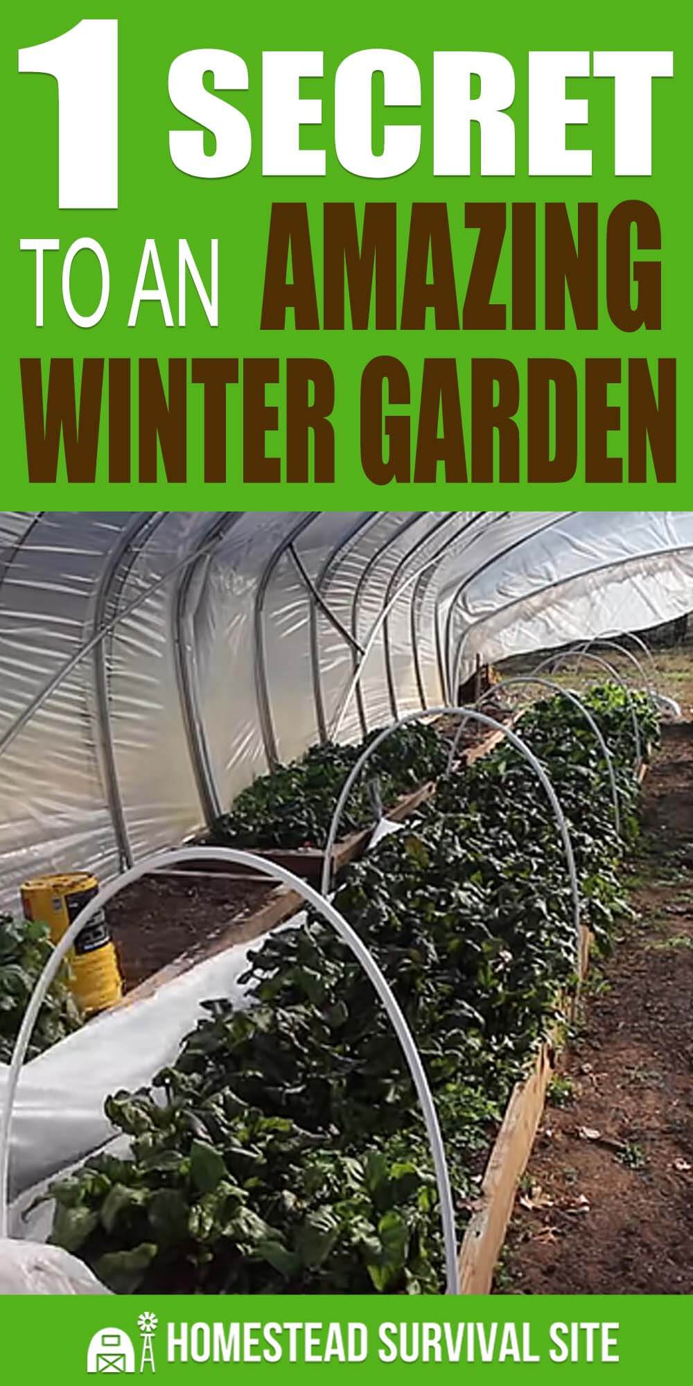 1 Secret To An Amazing Winter Garden