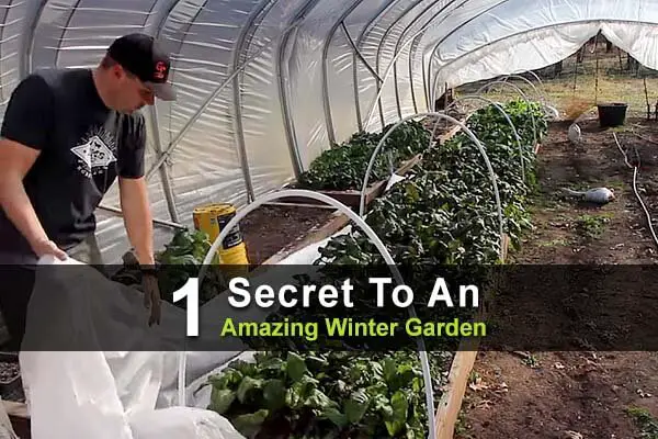 1 Secret To An Amazing Winter Garden