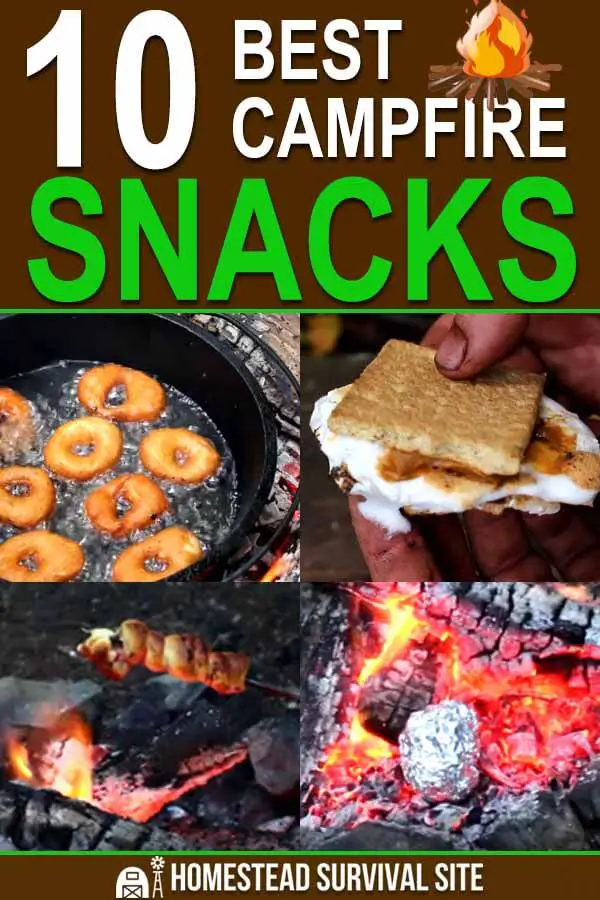 10 Best Campfire Snacks