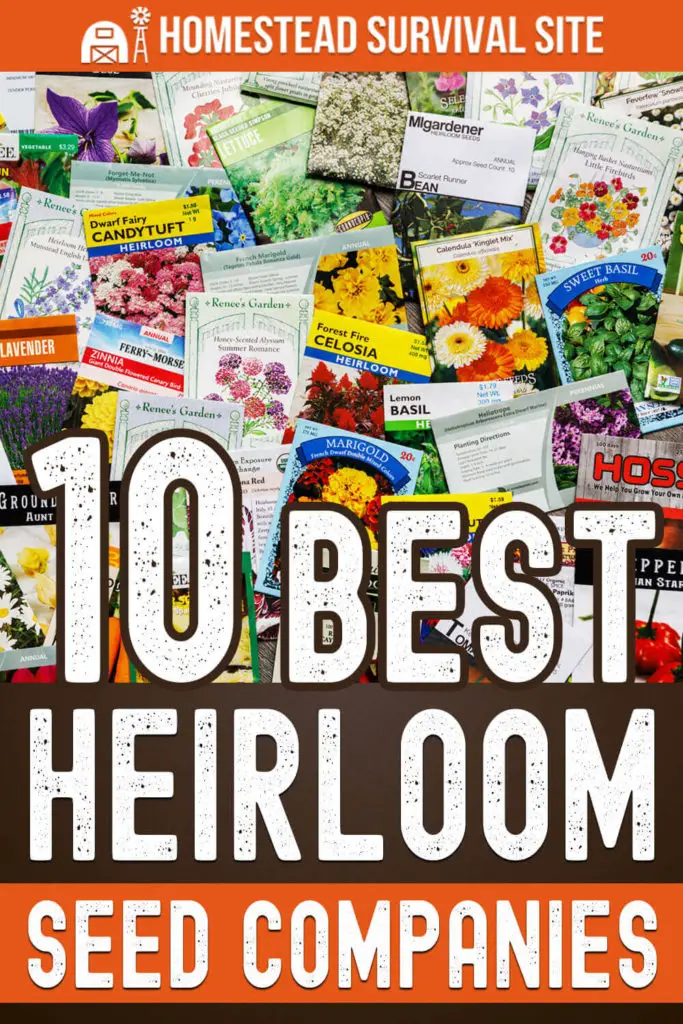 10 Best Heirloom Seed Companies