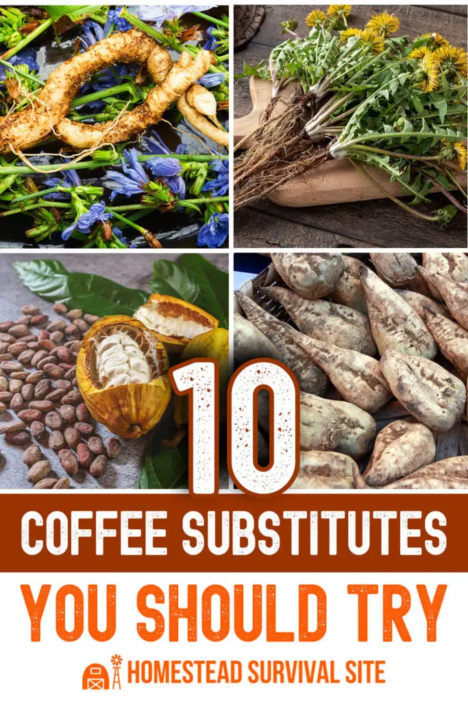 10 Coffee Substitutes You Should Try
