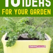 Pinterest Hidden Image