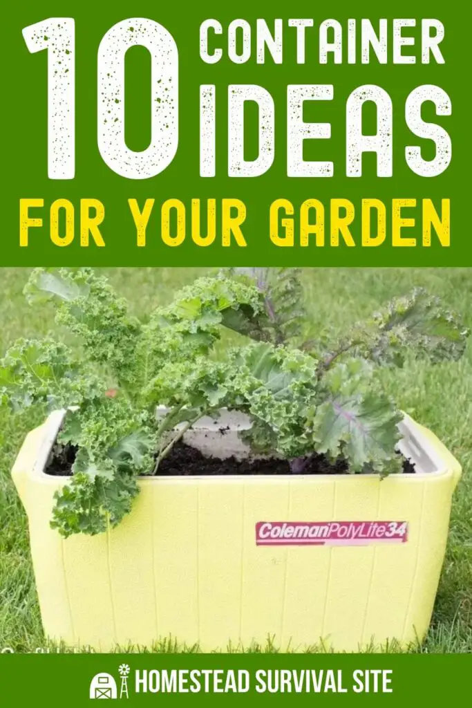 10 Container Ideas for your Garden