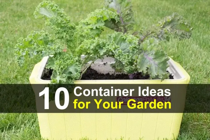 10 Container Ideas for your Garden