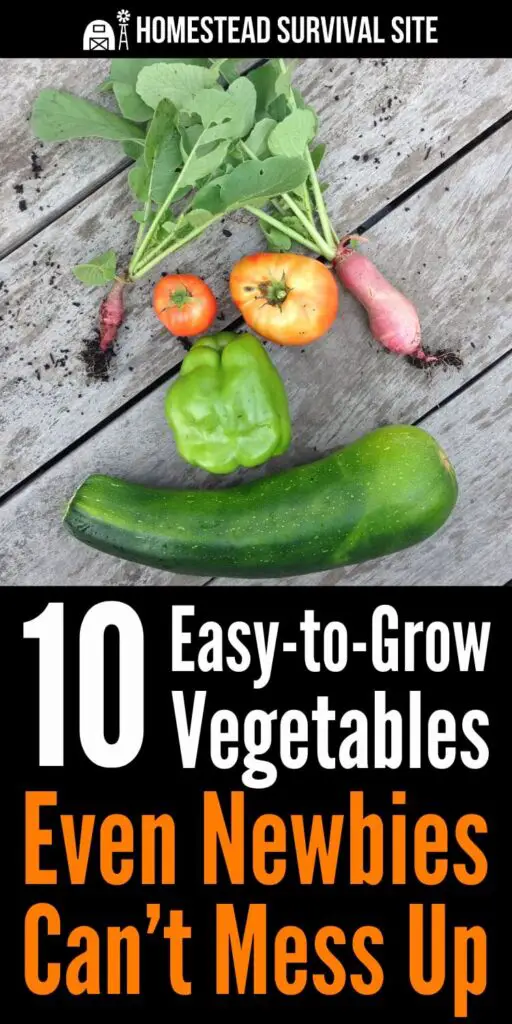 10 Easy-to-Grow Veggies That Even Newbies Can't Mess Up
