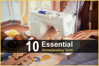 10 Essential Homesteading Tools
