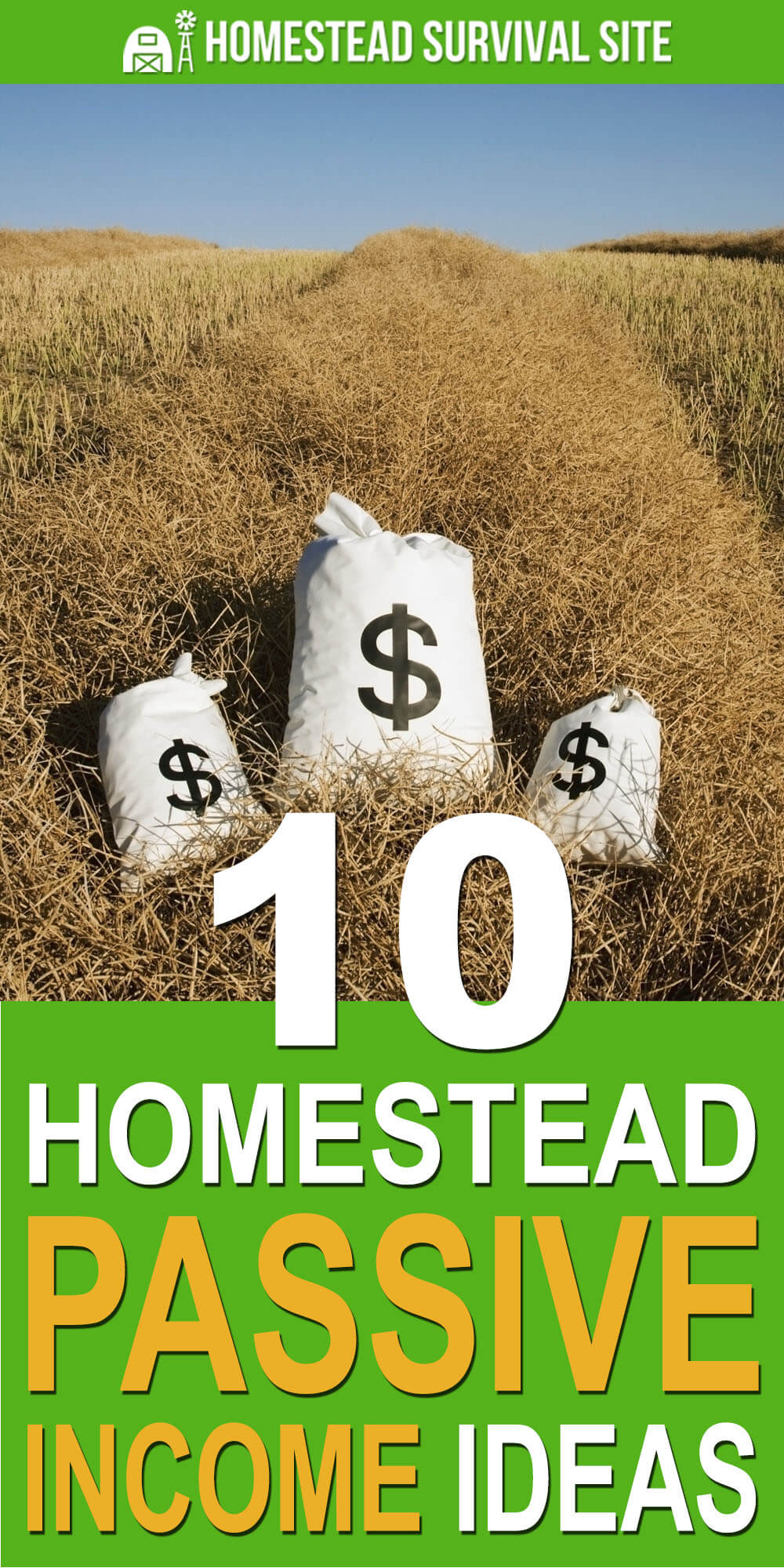10 Homestead Passive Income Ideas