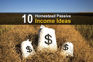 10 Homestead Passive Income Ideas