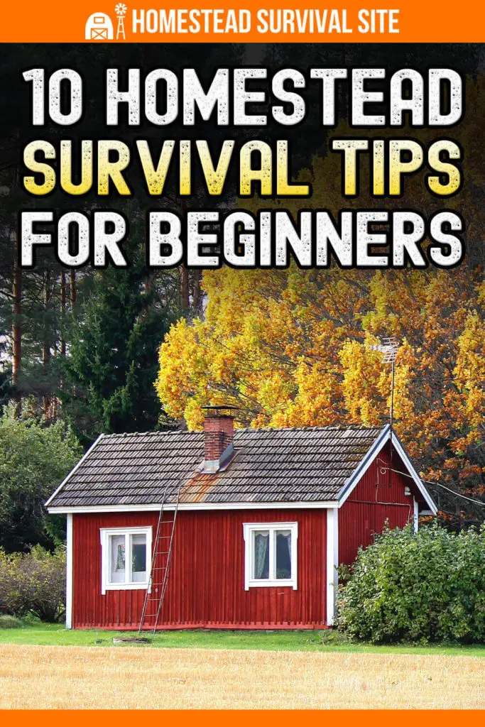 10 Homestead Survival Tips For Beginners