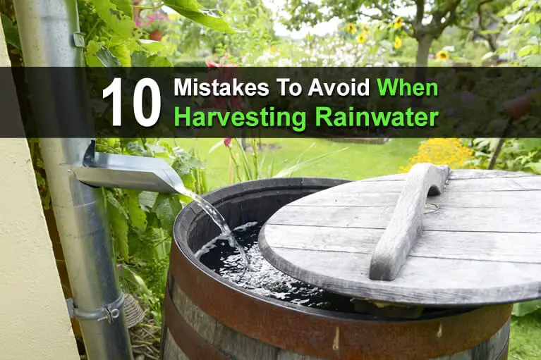 10 Mistakes To Avoid When Harvesting Rainwater