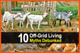 10 Off-Grid Living Myths Debunked