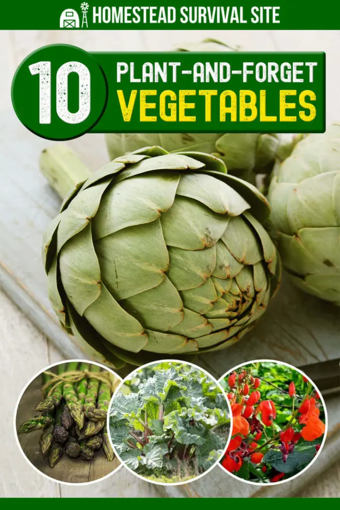10 Plant-and-Forget Vegetables