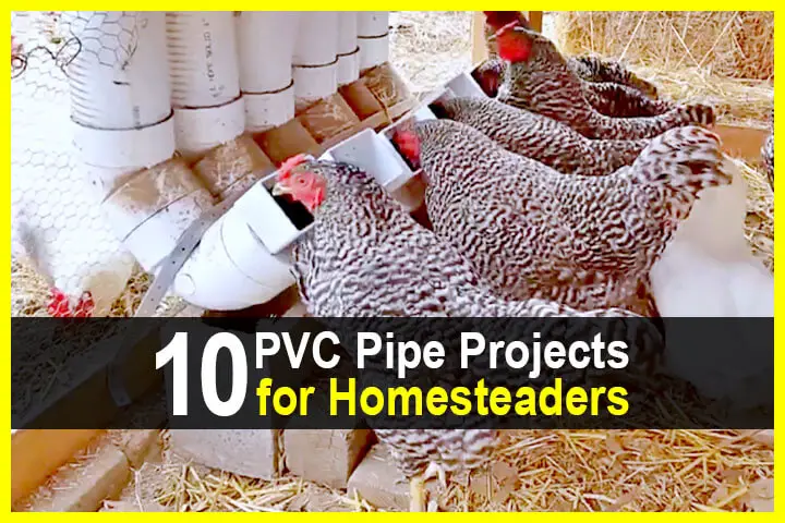 10 PVC Pipe Projects For Homesteaders