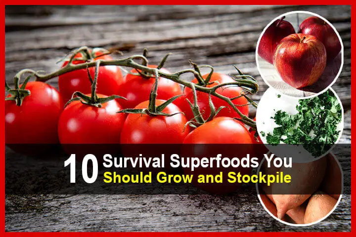 10 Survival Superfoods You Should Grow and Stockpile