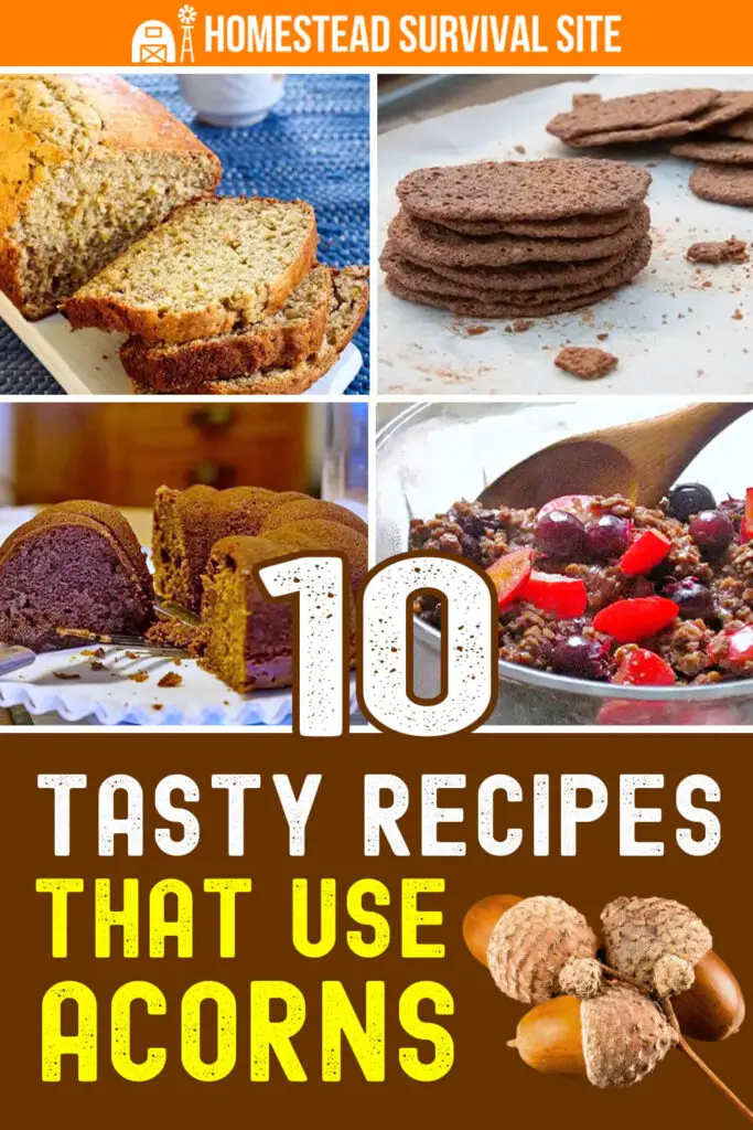 10 Tasty Recipes That Use Acorns