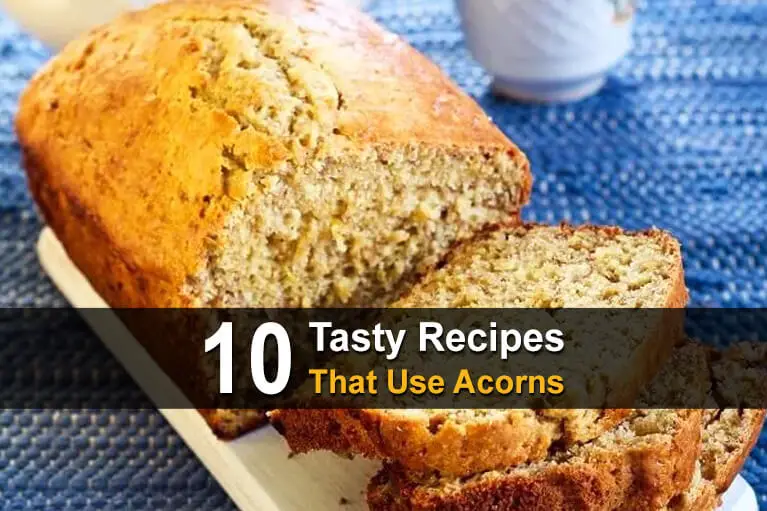 10 Tasty Recipes That Use Acorns