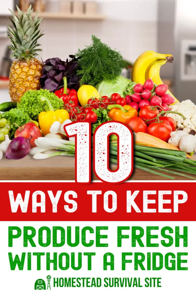 10 Ways to Keep Produce Fresh Without a Fridge