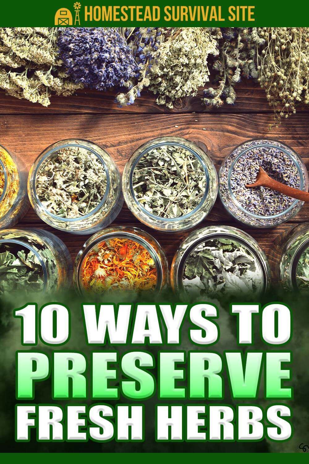 10 Ways to Preserve Fresh Herbs