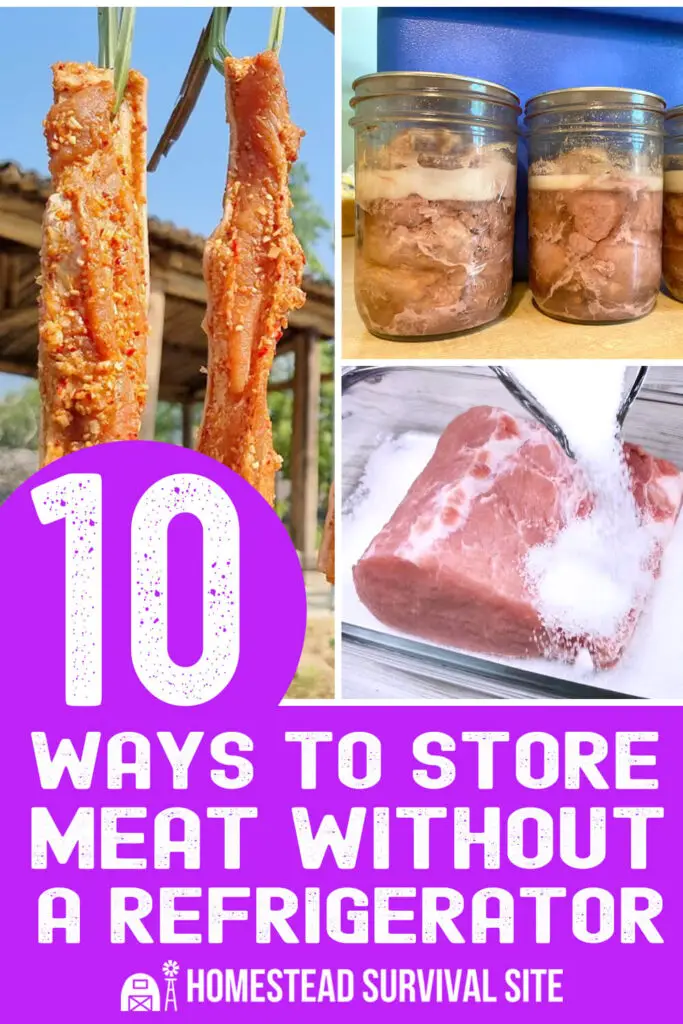 10 Ways to Store Meat Without a Refrigerator
