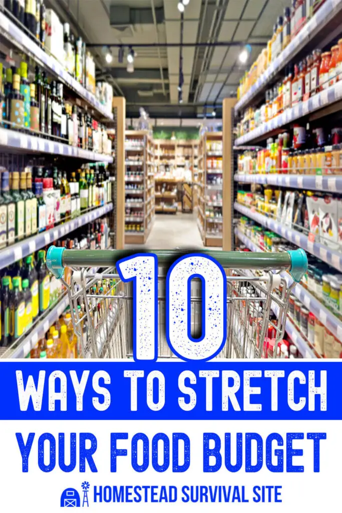 10 Ways to Stretch Your Food Budget
