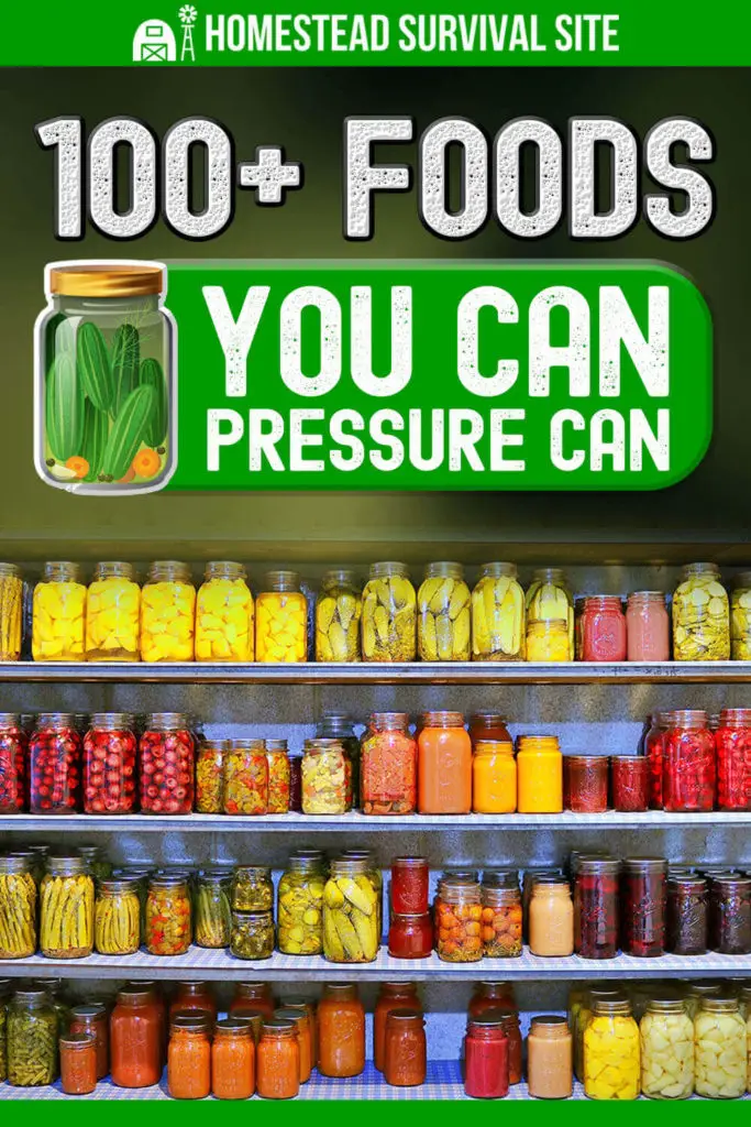 100+ Foods You Can Pressure Can
