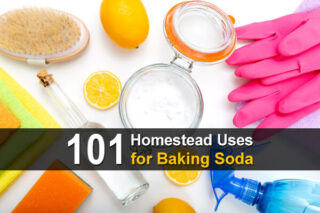 101 Homestead Uses for Baking Soda