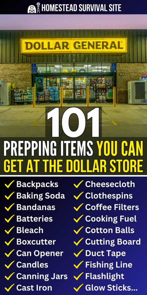 101 Prepping Items You Can Get At The Dollar Store