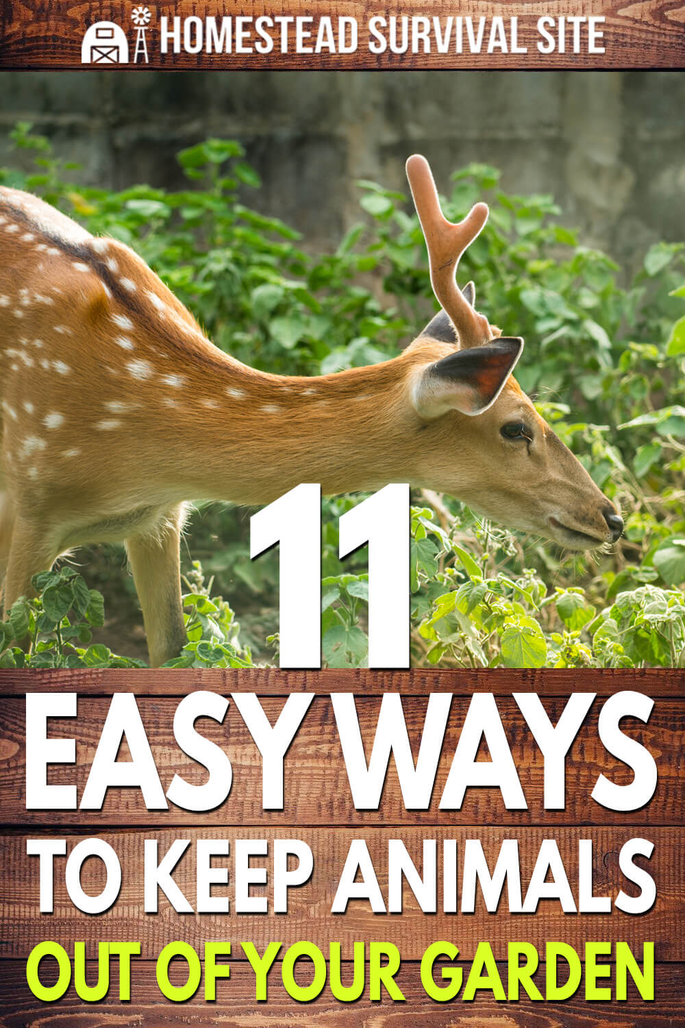 11 Easy Ways to Keep Animals Out Of Your Garden