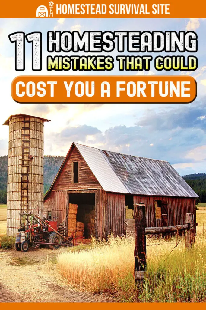 11 Homesteading Mistakes That Could Cost You A Fortune