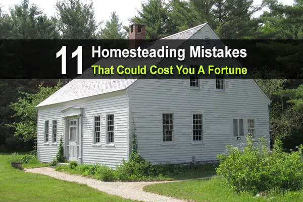 11 Homesteading Mistakes That Could Cost You A Fortune