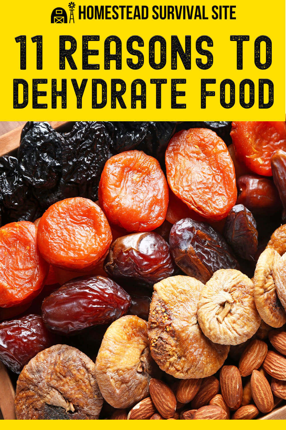 11 Reasons to Dehydrate Food for Long-Term Storage