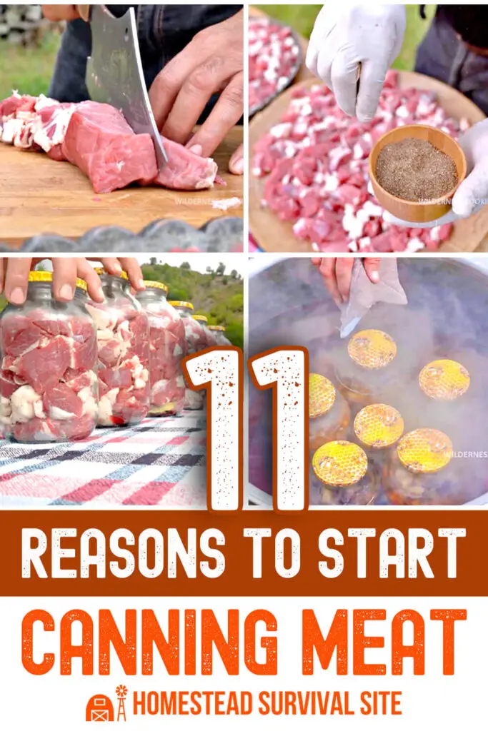 11 Reasons To Start Canning Meat