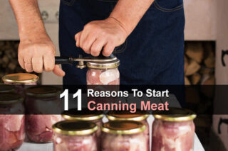 11 Reasons To Start Canning Meat
