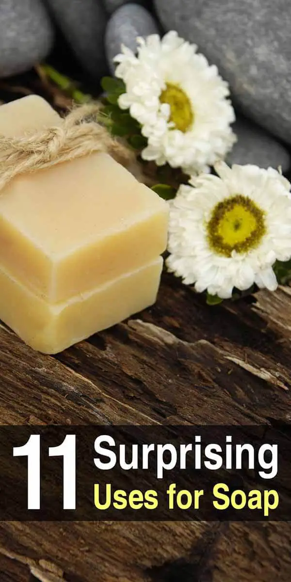 11 Surprising Uses for Soap