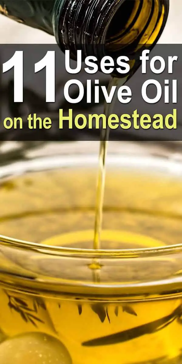 11 Uses for Olive Oil on the Homestead