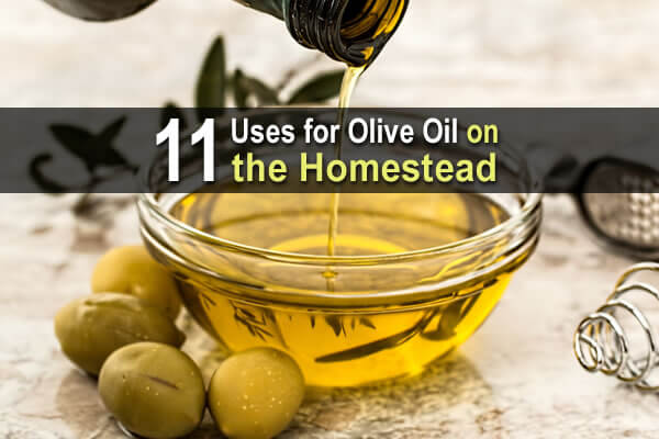 11 Uses for Olive Oil on the Homestead