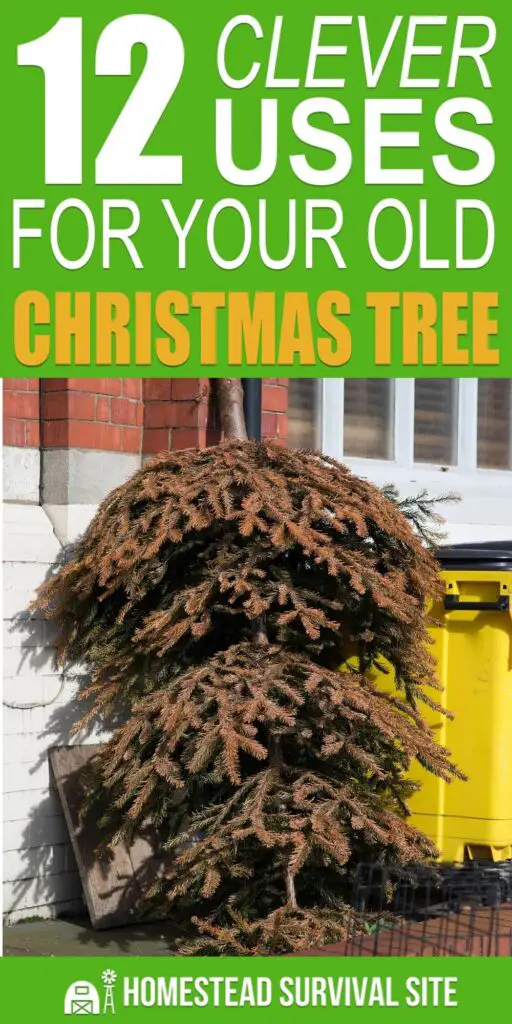 12 Clever Uses for Your Old Christmas Tree