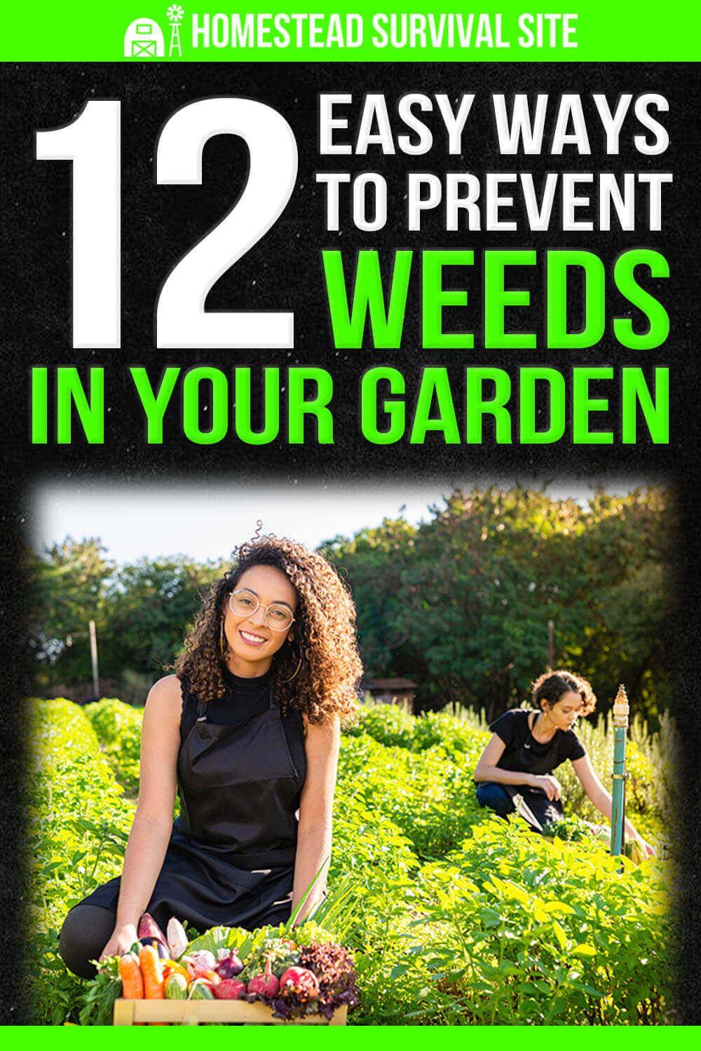 12 Easy Ways To Prevent Weeds In Your Garden - TheWorldOfSurvival.Com