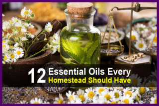 12 Essential Oils Every Homestead Should Have
