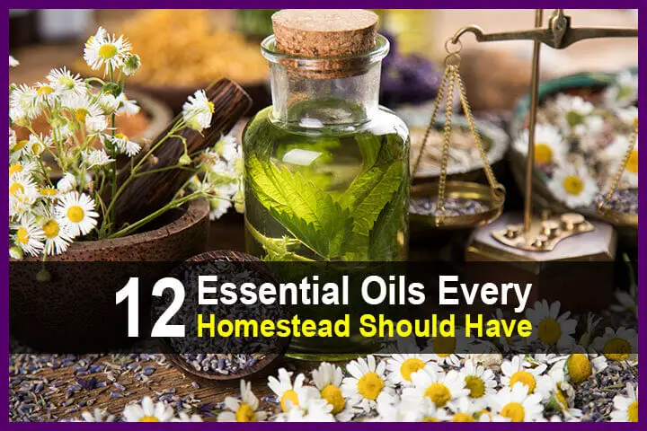 12 Essential Oils Every Homestead Should Have