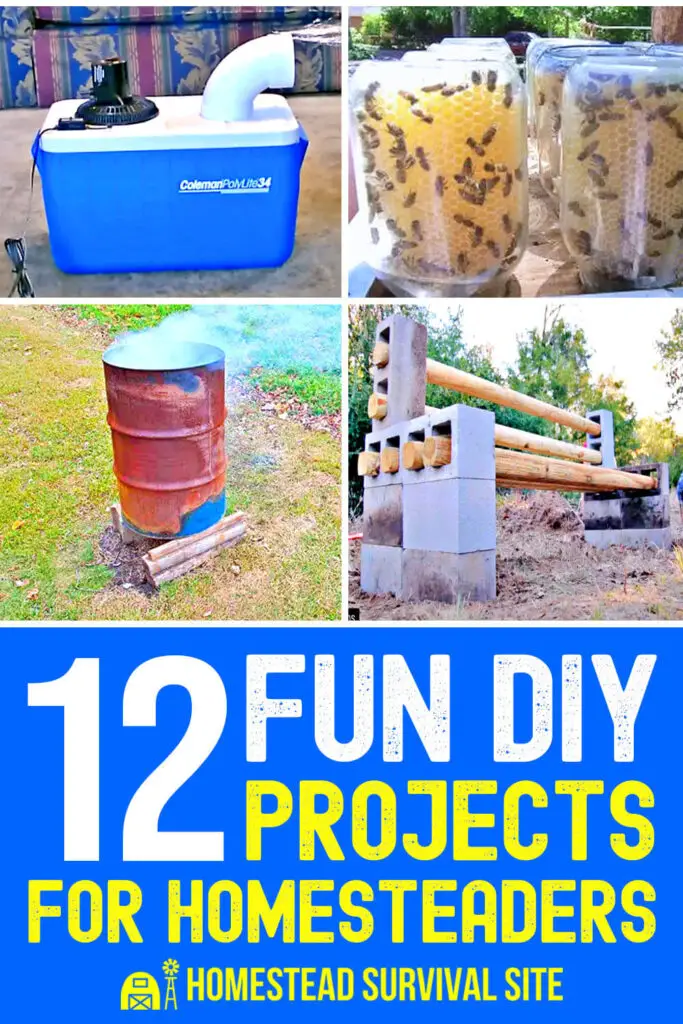 12 Fun DIY Projects For Homesteaders