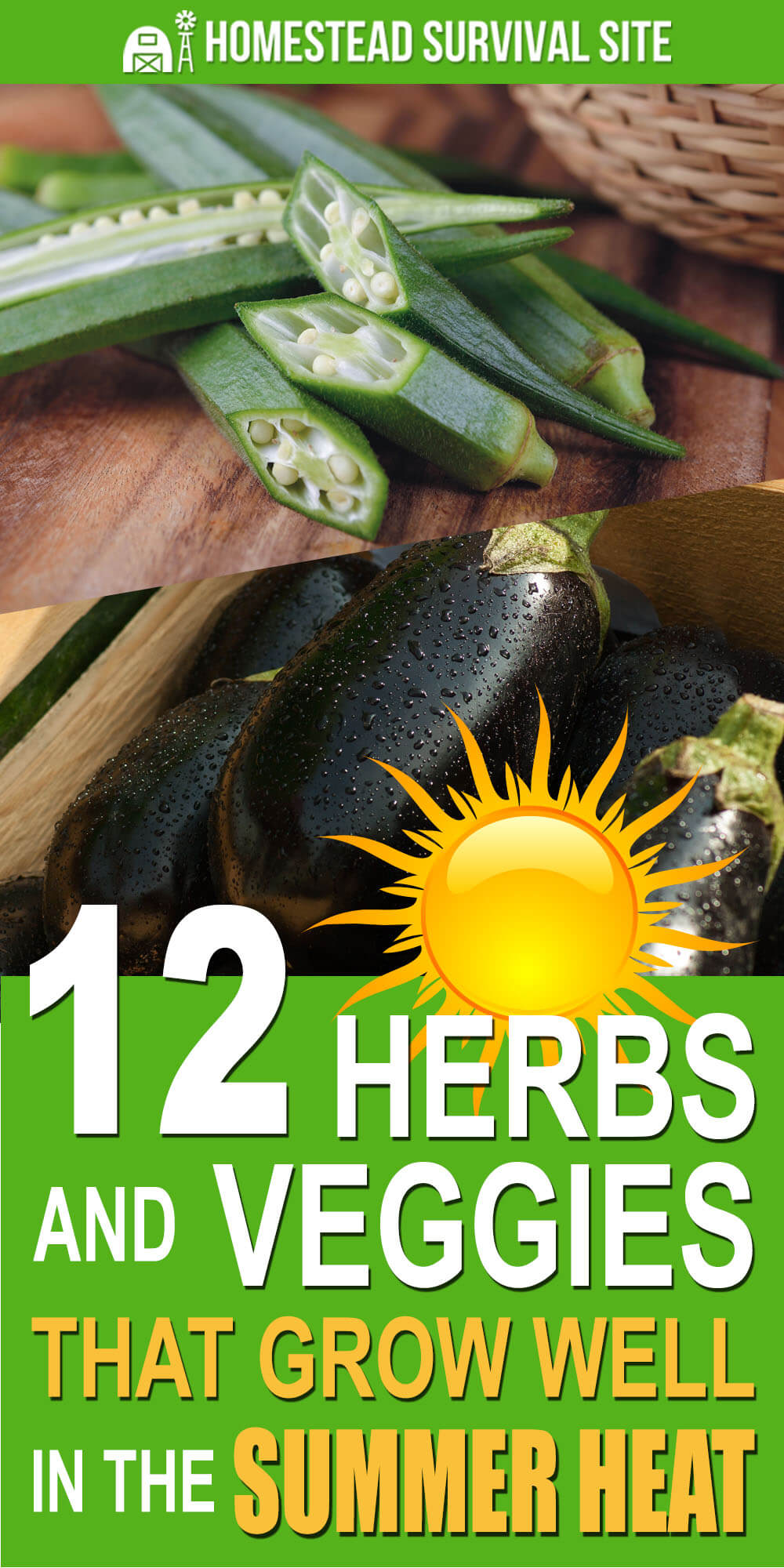 12 Herbs and Veggies That Grow Well in The Summer Heat