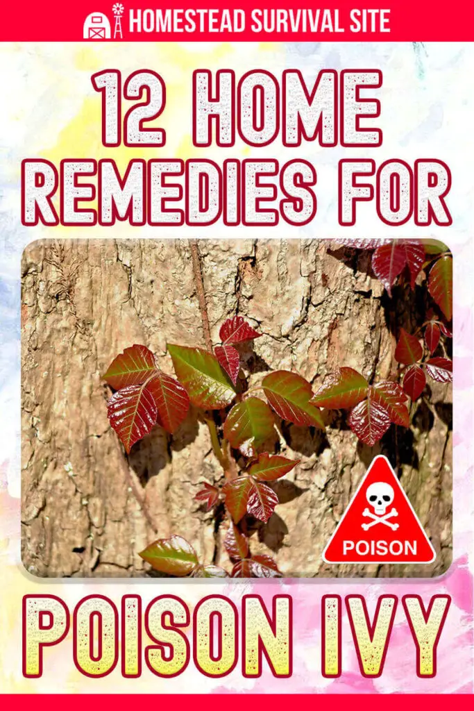 12 Home Remedies for Poison Ivy That Really Work