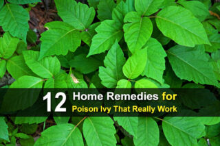 12 Home Remedies for Poison Ivy That Really Work