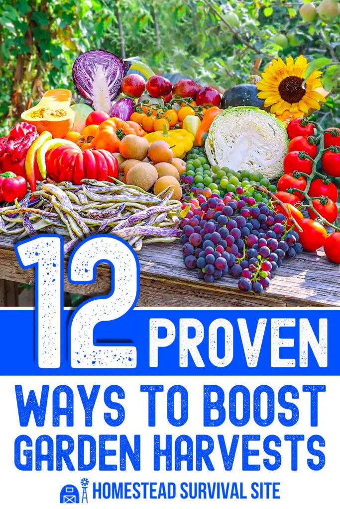 12 Proven Ways to Boost Garden Harvests