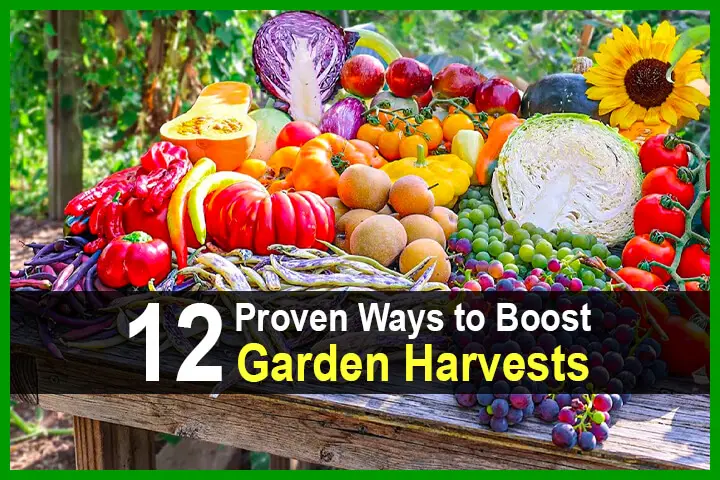 12 Proven Ways to Boost Garden Harvests