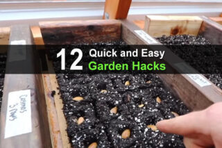 12 Quick and Easy Garden Hacks