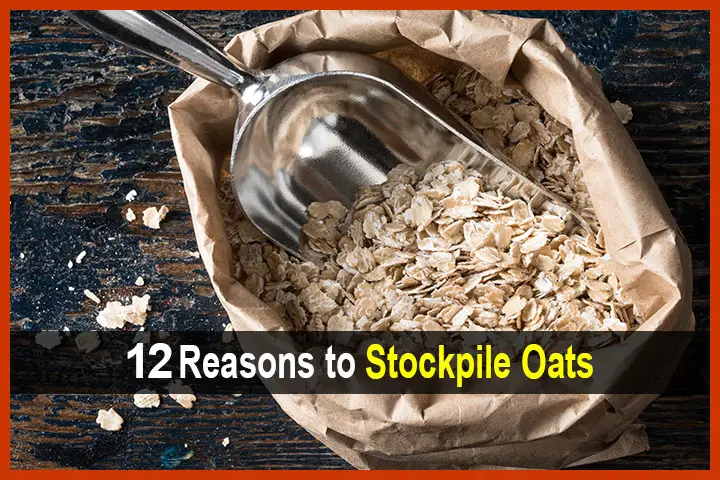 12 Reasons to Stockpile Oats
